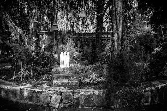 Historic garden with traditional elements